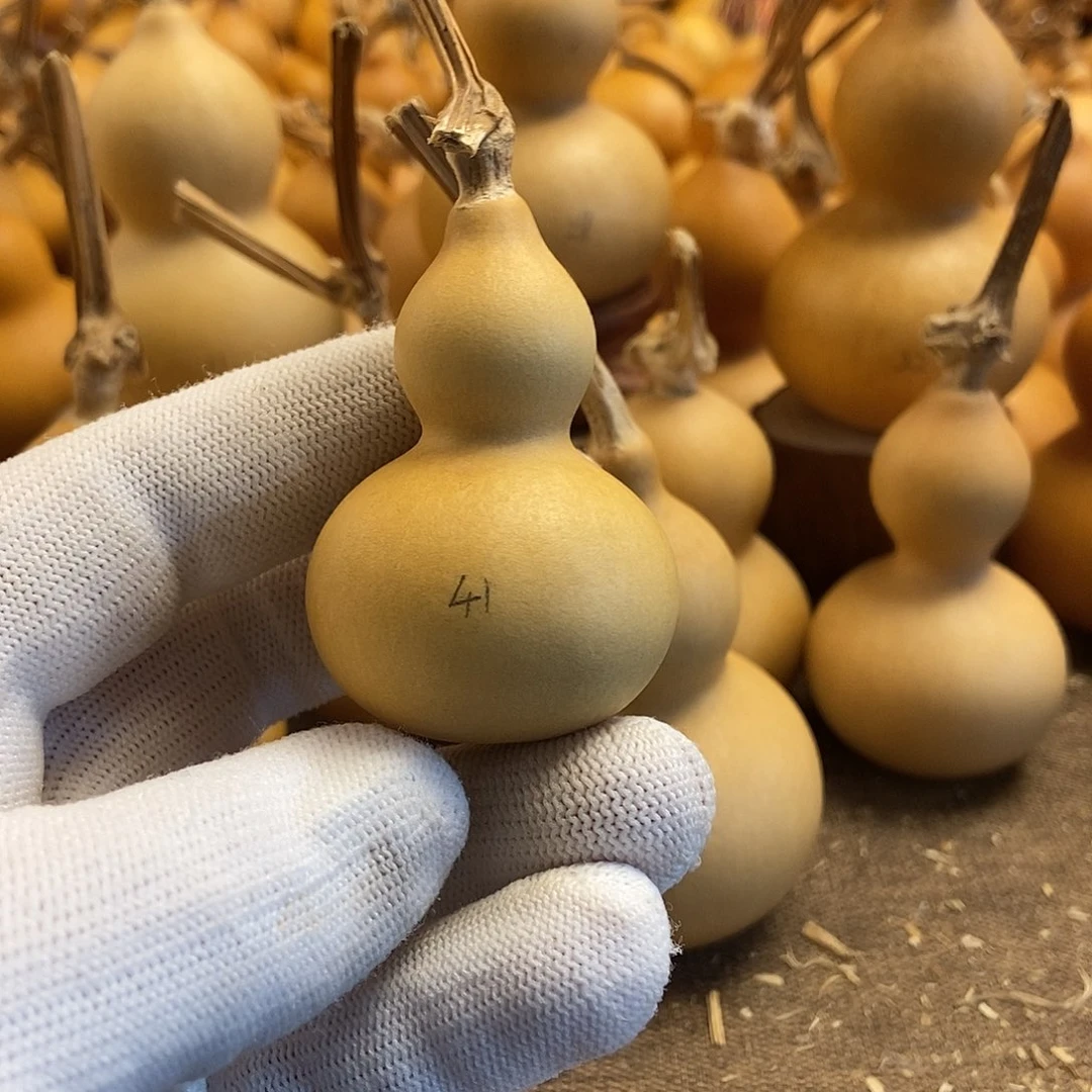 文玩葫芦 完美主义者 慎拍41