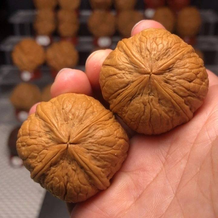 文玩核桃把件66天子之宝