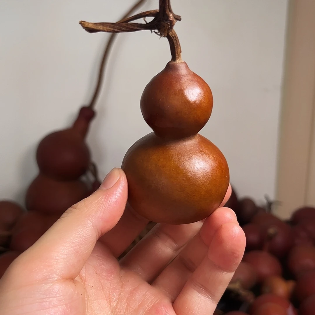 小*蚁闪电购葫芦捡漏啦2256