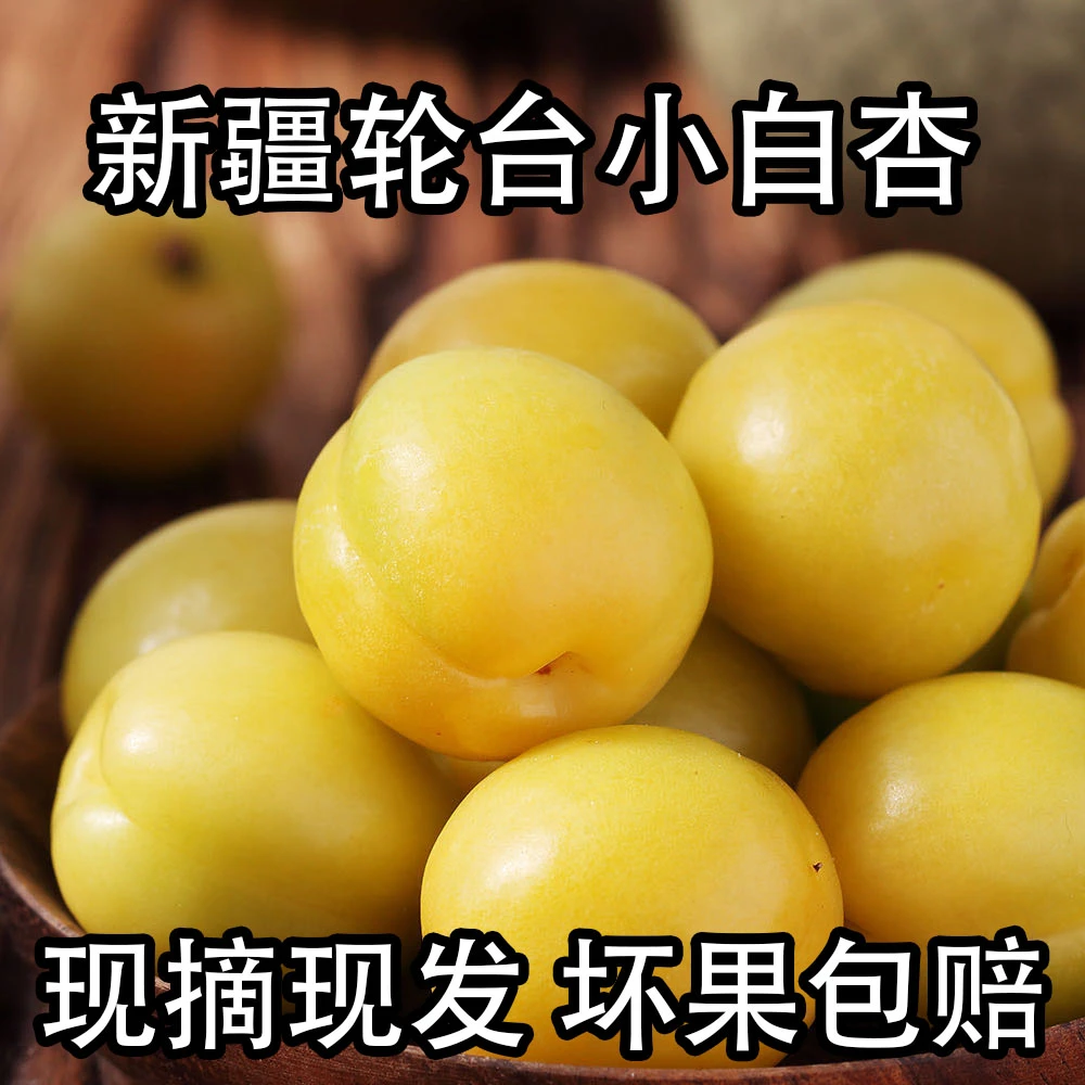 新疆小白杏轮台小白杏新疆水果多汁甜杏整箱3斤包邮