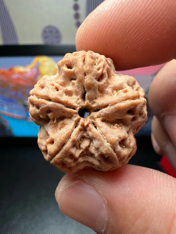 18号（五面十龙）金刚菩提