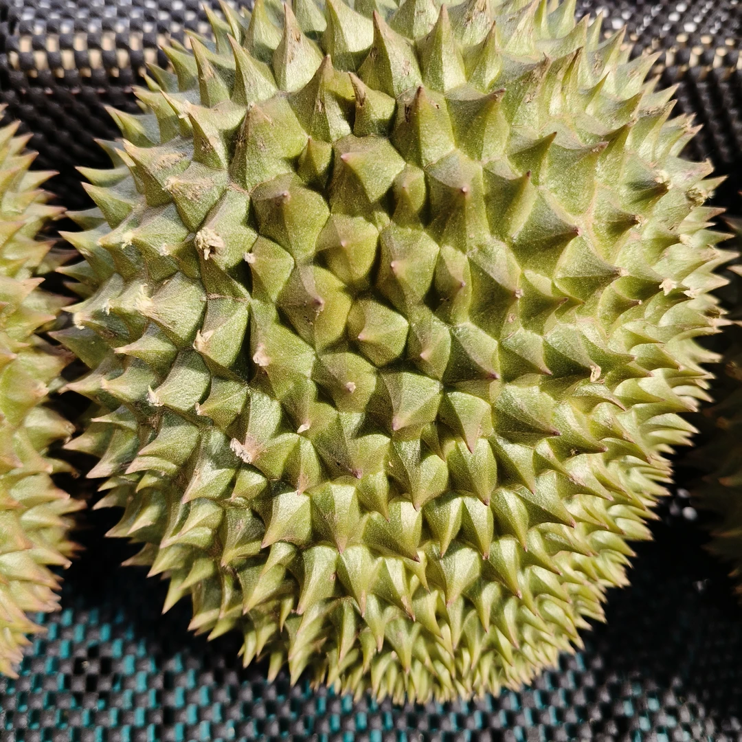 [粉丝福利]新鲜甲仑榴莲148/2个整果［1个2.5-3斤核大默认剥］榴莲同城配甲仑老挝泰国