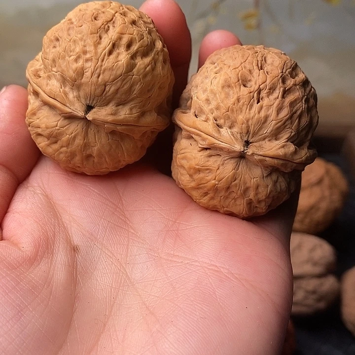 吊坠文玩核桃铁核桃3