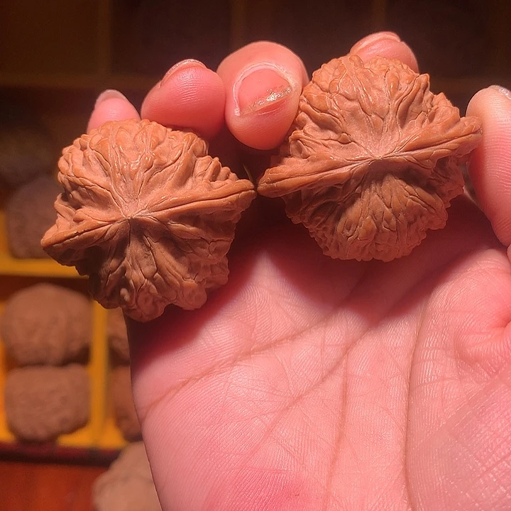 老***苏大叶紫檀（黑酸枝木类）