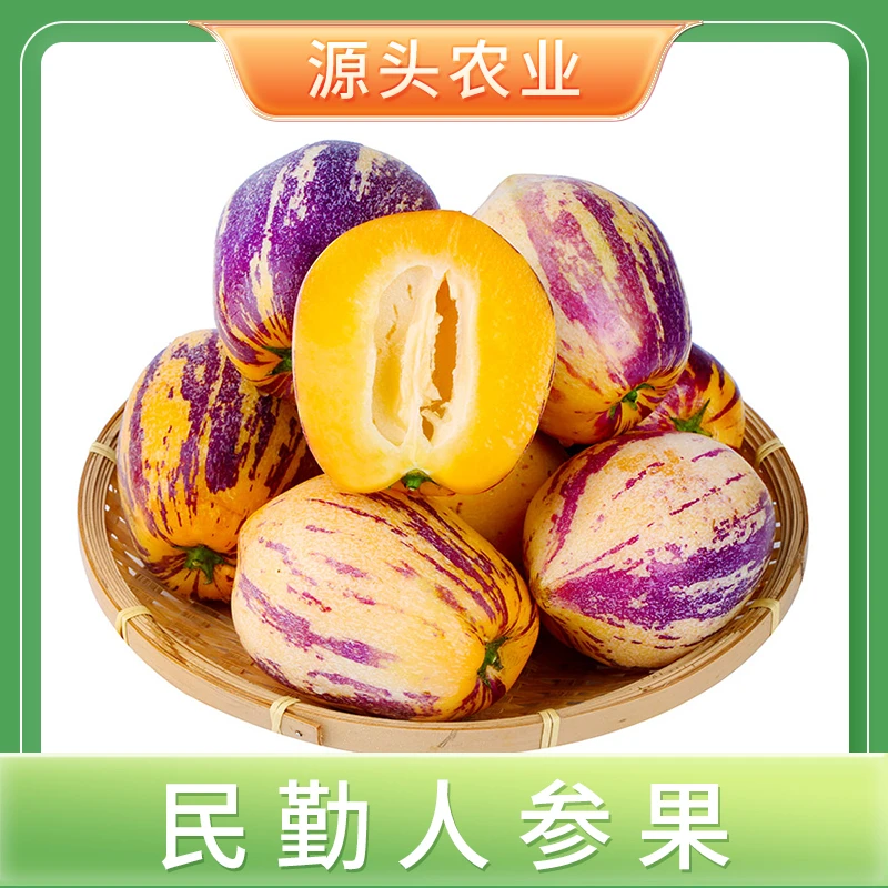 【民勤人参果】甘肃人参果产地直发新鲜应季水果水润多汁4.5斤 S