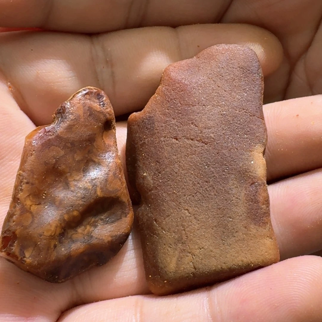 定制琥珀未镶嵌熊**哥专拍