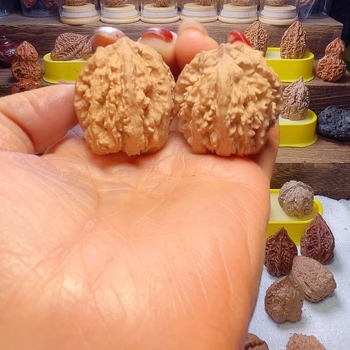 核桃30号车放漏漏漏