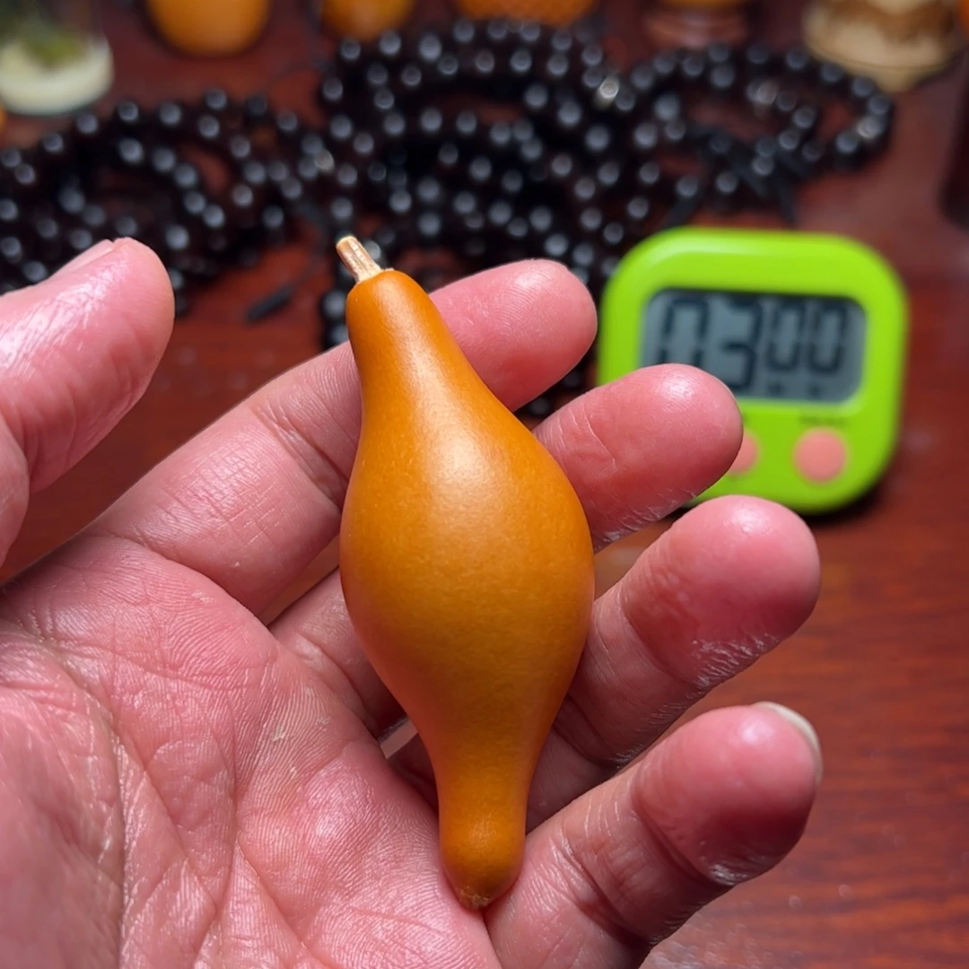 大***树中华本地手捻葫芦