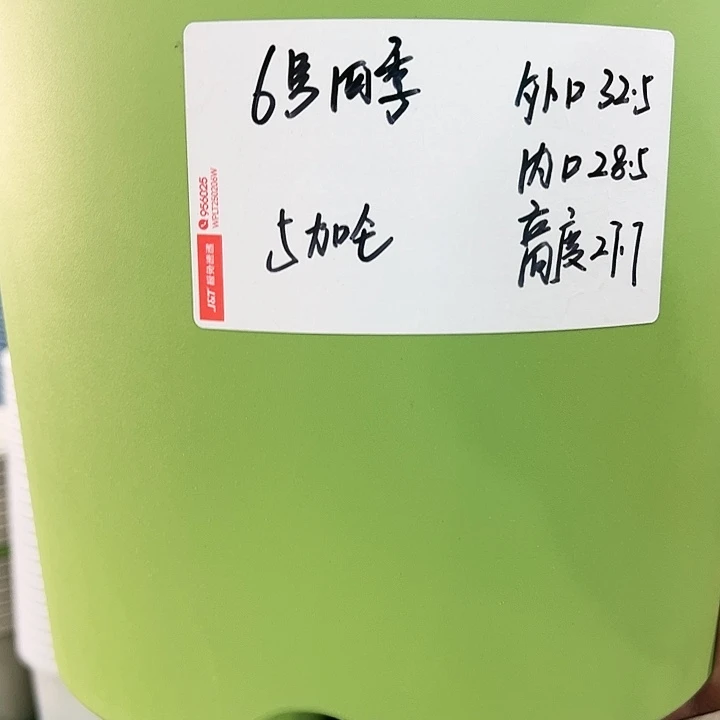 特价6号四季口32高28果绿色7个无托