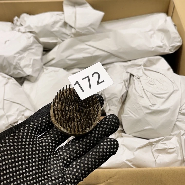 茶宠我们都在努力的