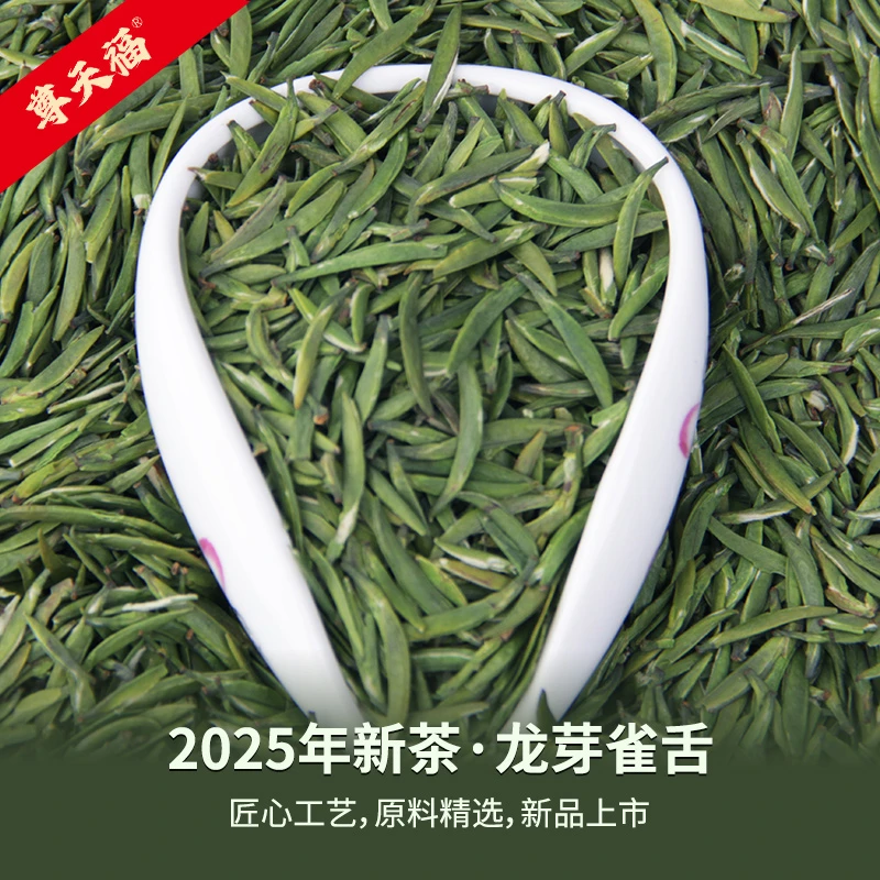 2025头采龙芽雀舌新春绿茶独芽雀舌品质茶叶礼罐装
