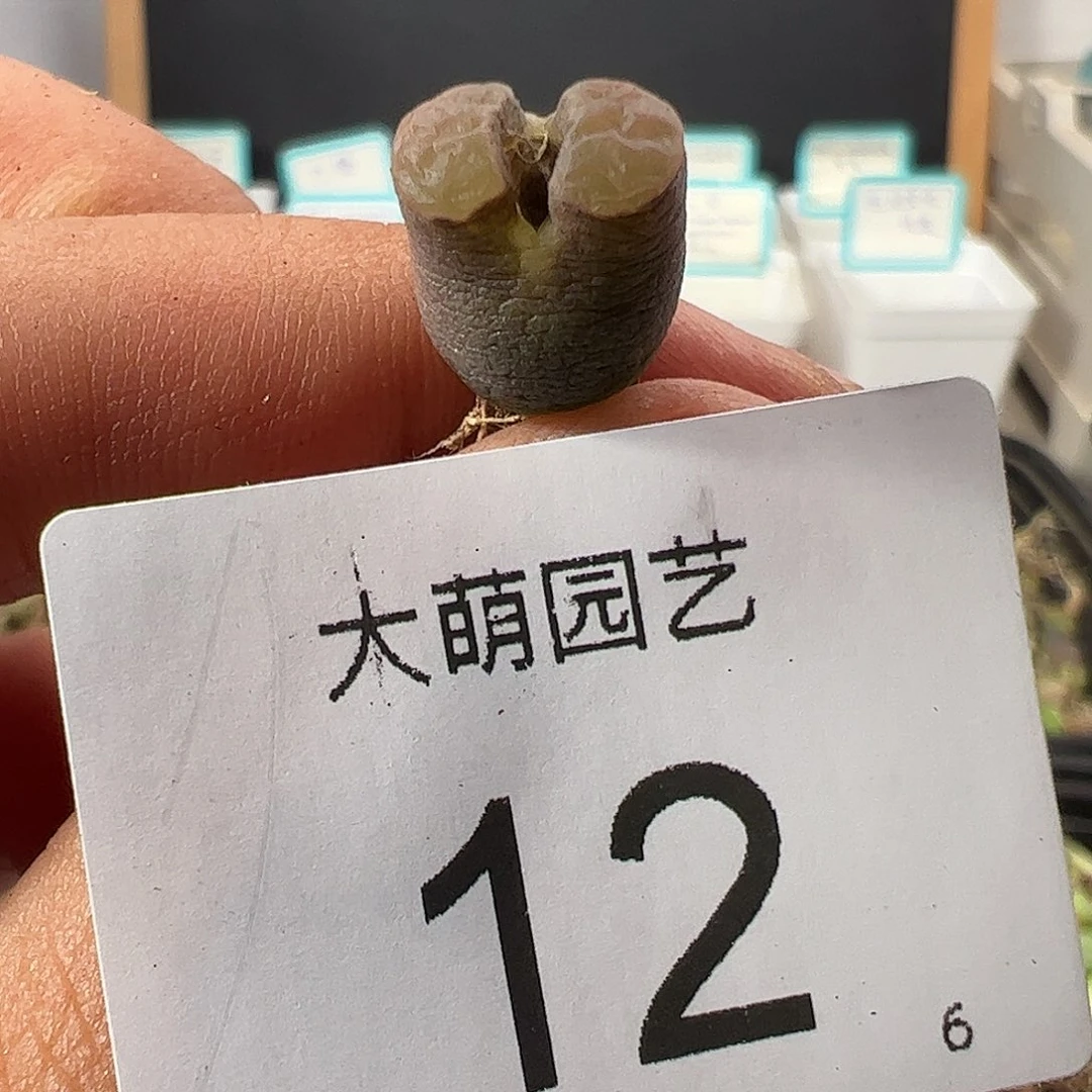 000012 一物一拍……