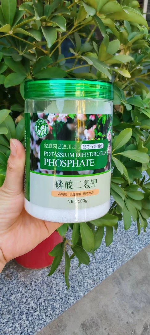 中农花卉磷酸二氢钾开花芽分化苞花多多磷肥催花果水溶叶面园艺肥