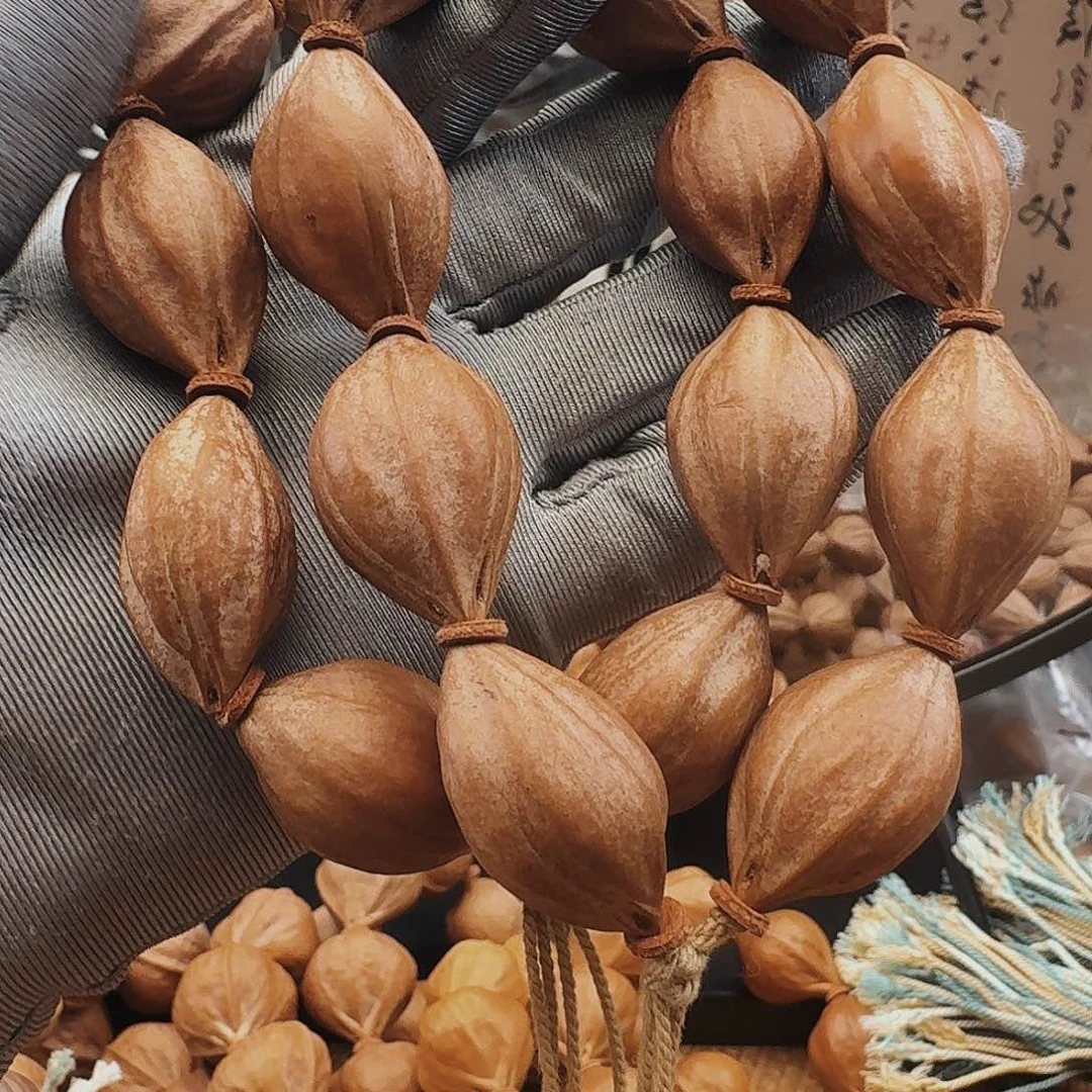 橄榄核手串鲨鱼呗