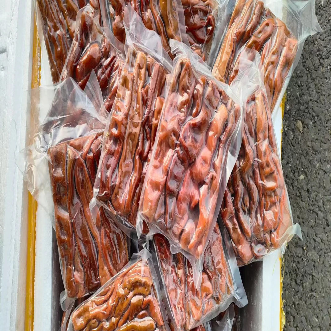 海御棠大连海鲜深海海肠子厚皮宽肠