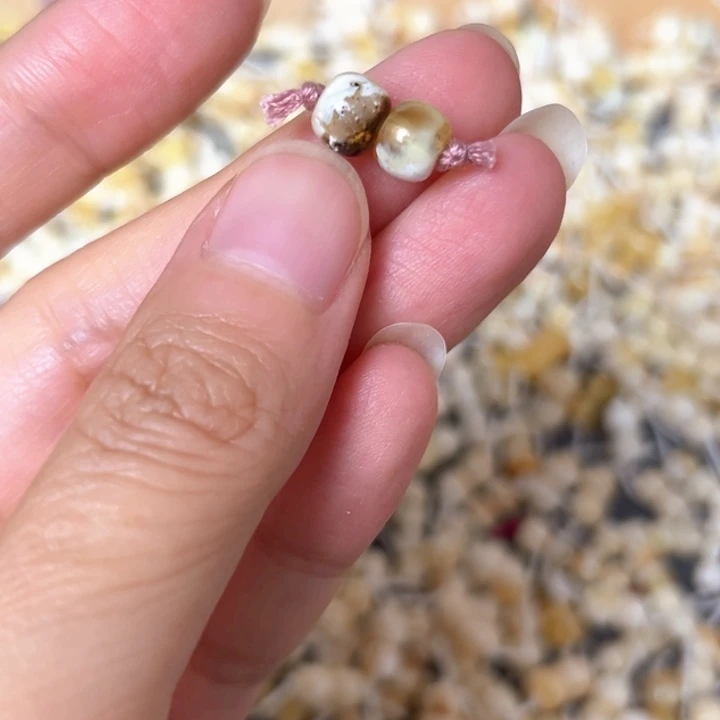 裸石蜜蜡未镶嵌6.9mm一对