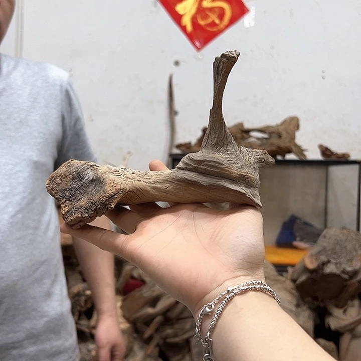 柏木原*我们都是好孩子呀我也是想