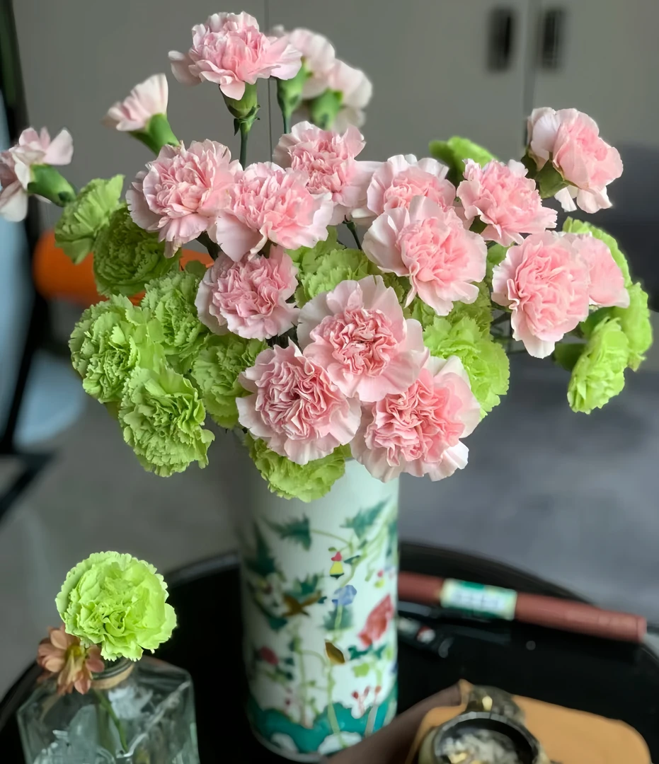 【绿色康乃馨+粉色康乃馨AK】双拼单头康乃馨 | 任意两单鲜花包邮