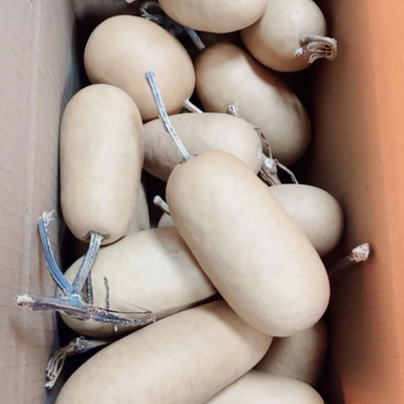 【闪购商品】二十个冬瓜四十块钱