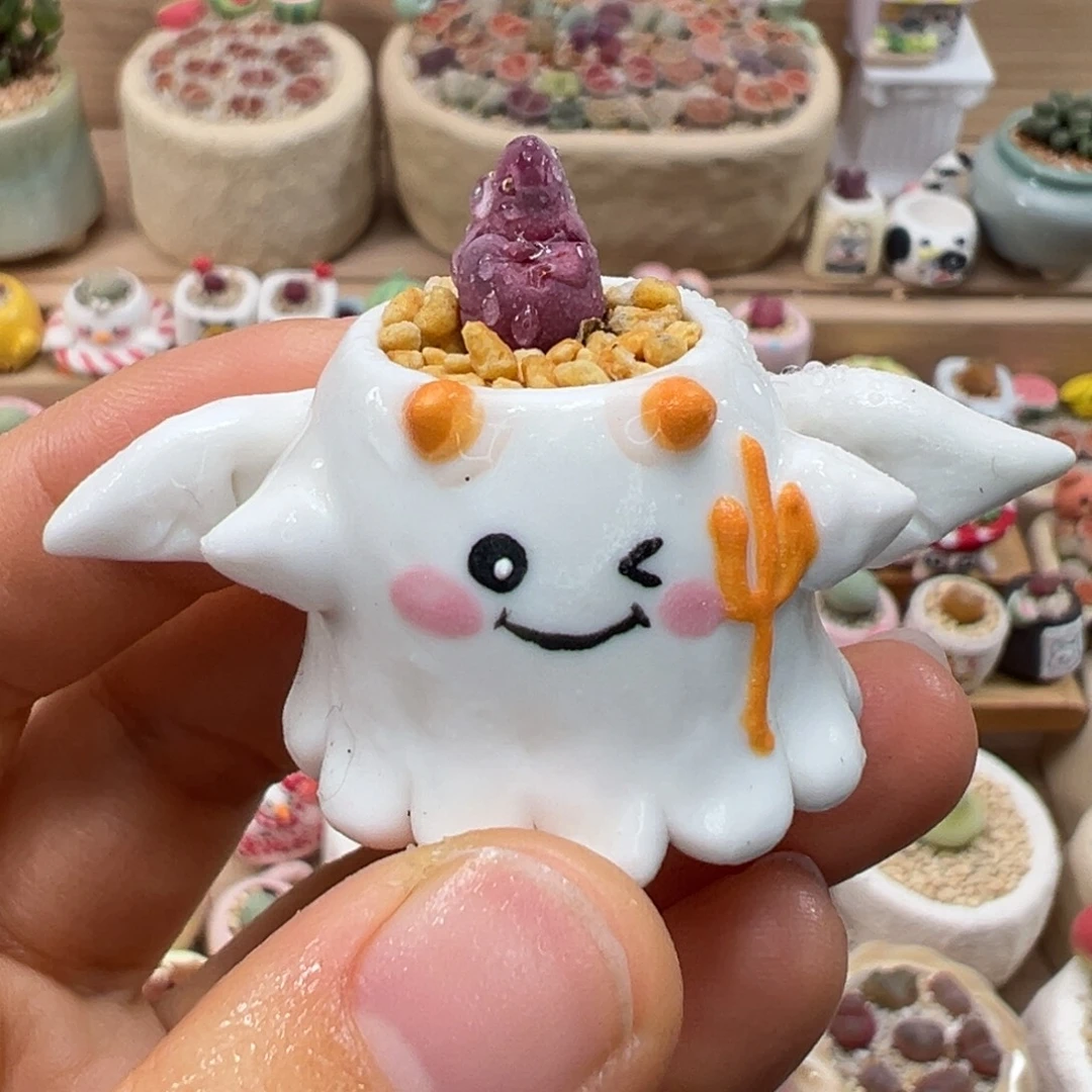 多肉植物119号拇指盆