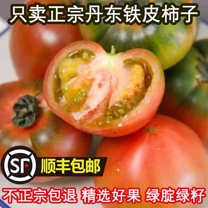 丹东沙瓤铁皮柿子草莓西红柿东北绿腚番茄碱地油柿子新鲜水果