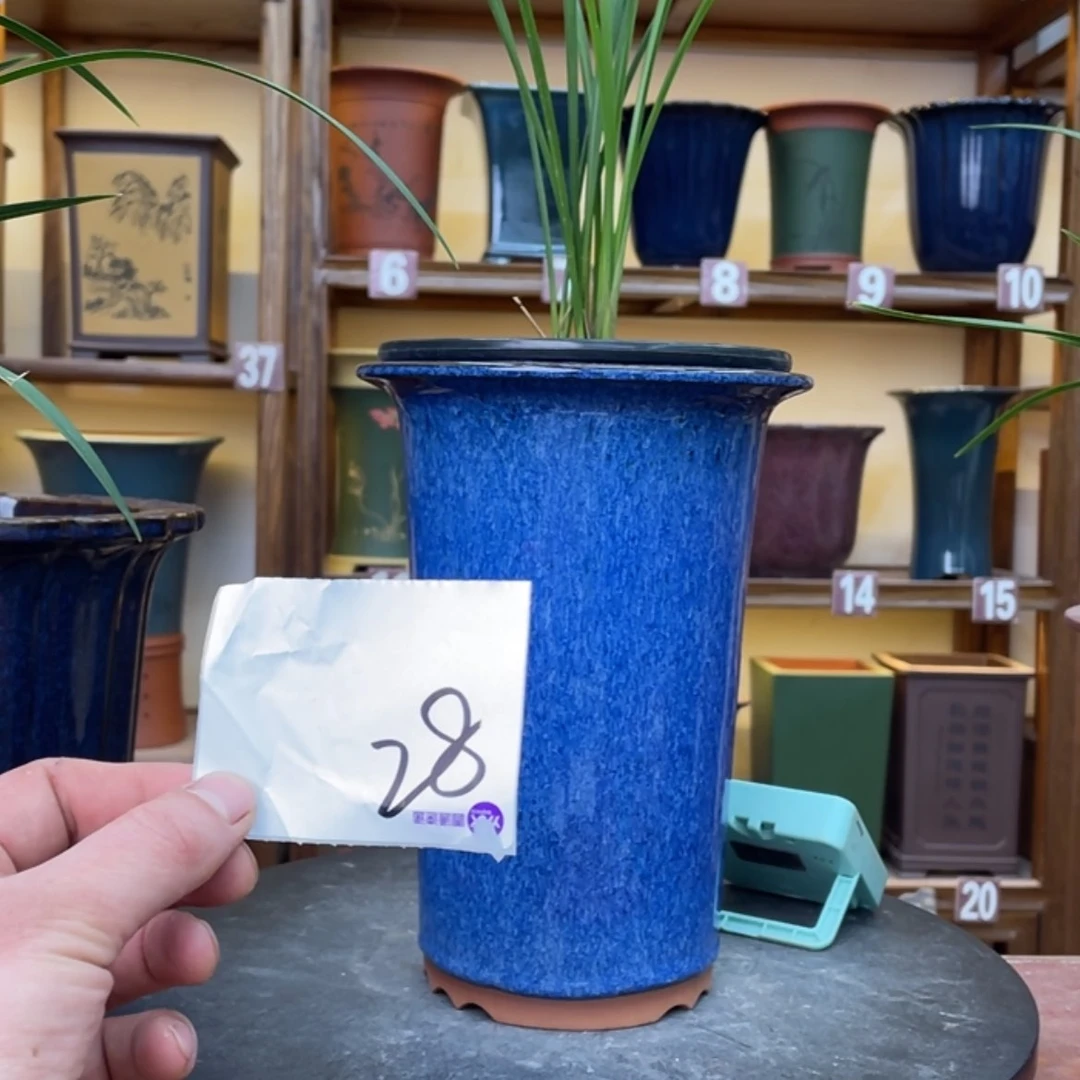 【闪购商品】紫砂花盆兰花752655268855685565