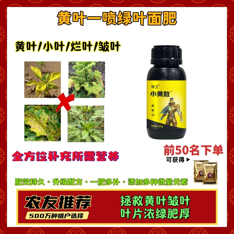 小黄散水溶肥料 防小叶黄叶 皱叶变展 预防辣椒黄叶问题