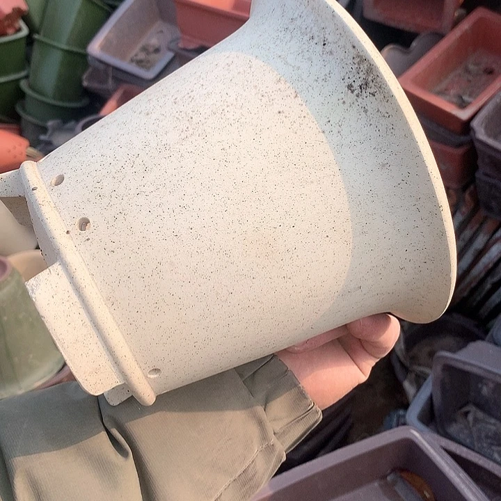 紫砂哈哈真的是太给力太