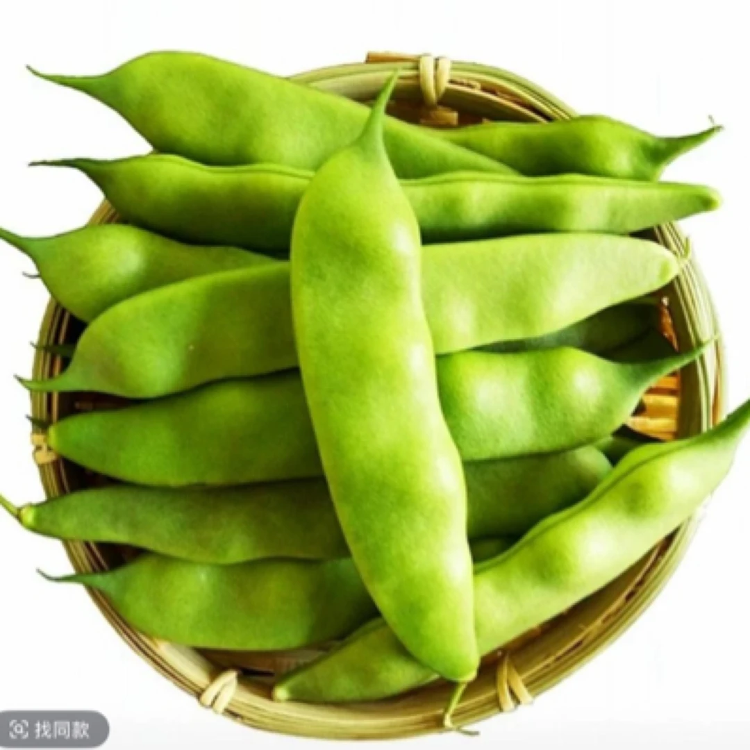 东北新鲜油豆角开锅即烂口感鲜美