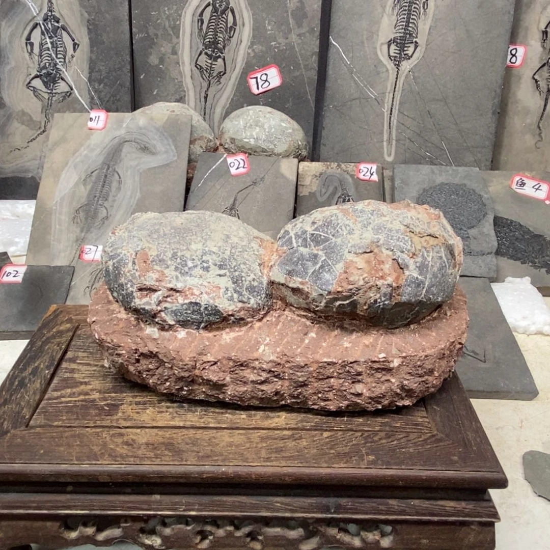 石材孟*臣大自然的秘密就是这样神奇