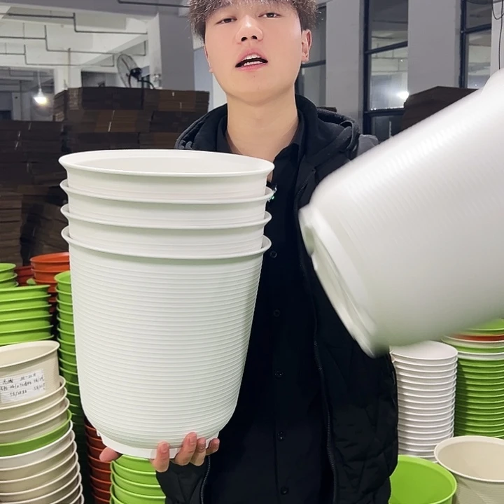 正品高陶口30高31白色5只无托