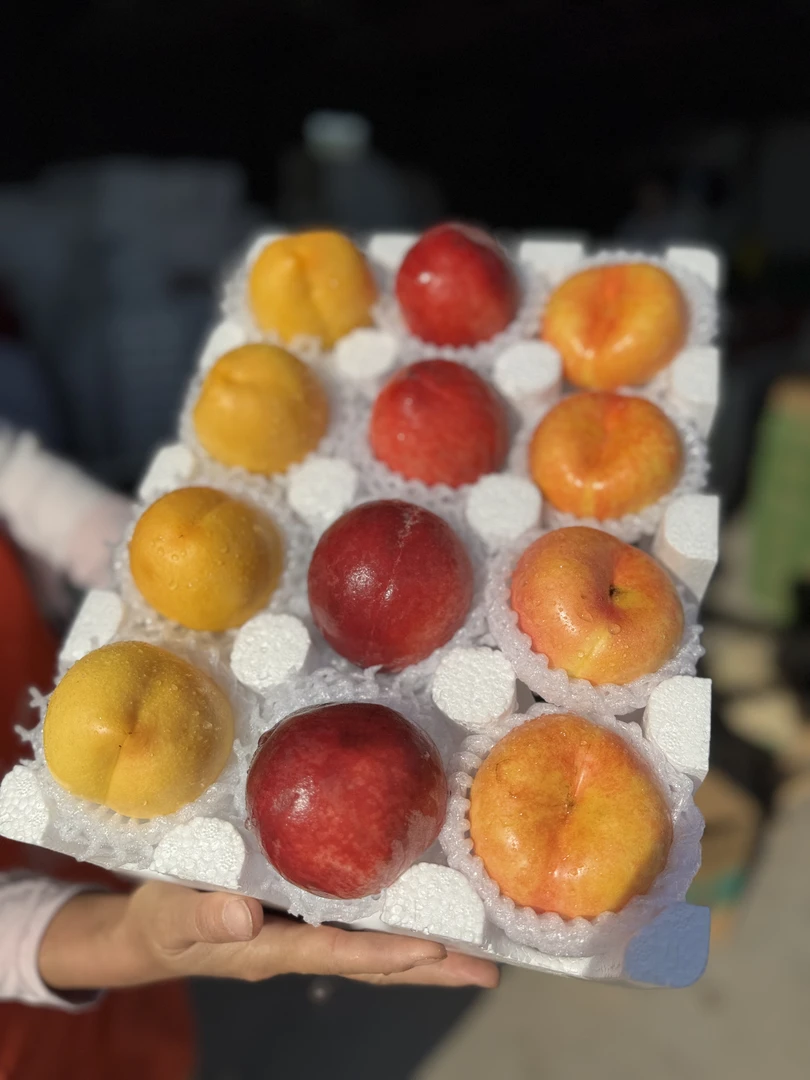 黄金油蟠桃+黄金油桃+血丝蜜桃三拼组合【顺丰】明天到彩虹扁桃子