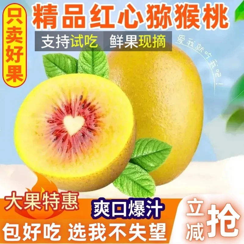 【大果特惠】精品红心猕猴桃四川蒲江奇异果10/20枚头茬新果包好吃