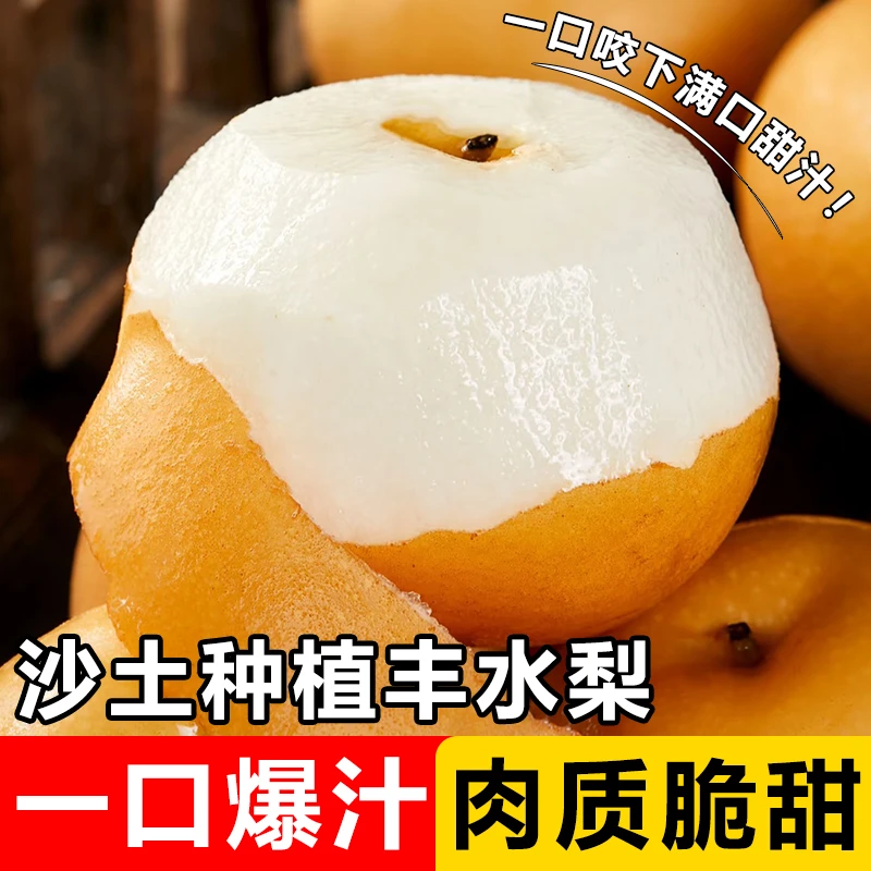 山东当季新鲜丰水梨脆甜多汁细腻无渣水果黄皮梨冰糖梨非秋月梨