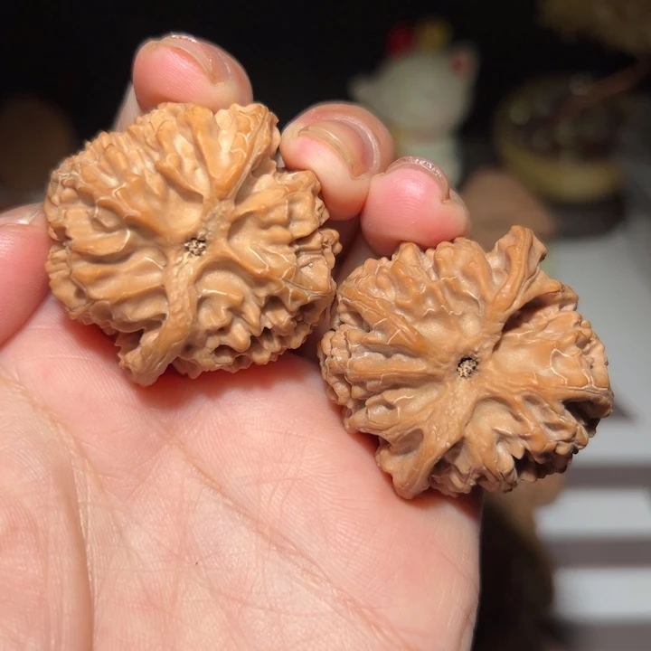 核桃40全品苹果园