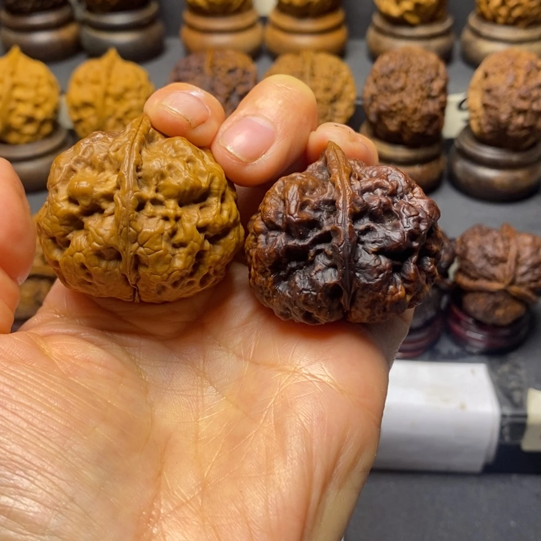 用***5毒王41尺寸云南铁核