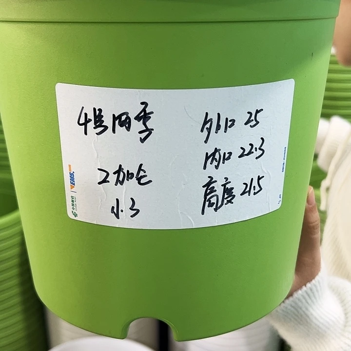 特价4号四季口25高21.5果绿色8个无托