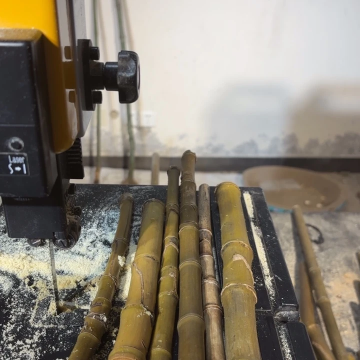 竹元*实心竹竹竹竹竹竹竹竹