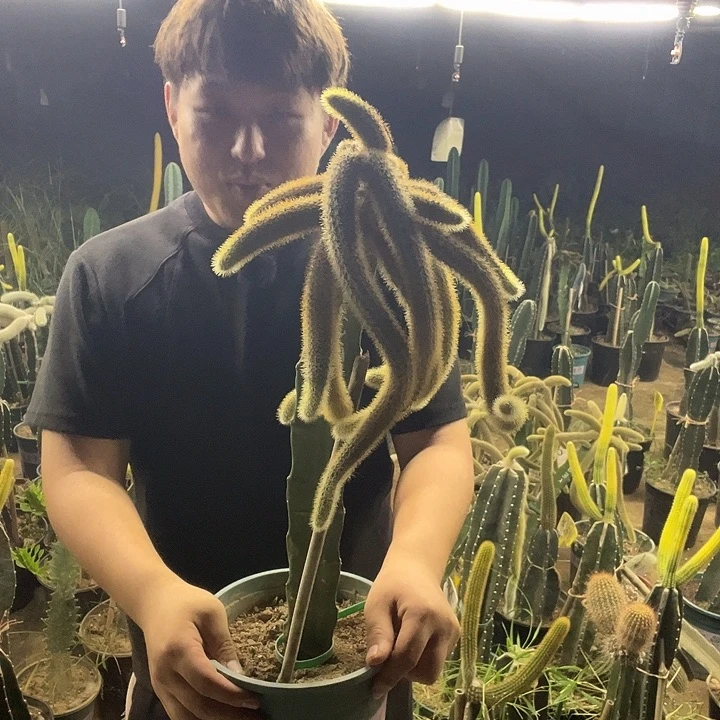 ****院完全开放兔兔兔兔