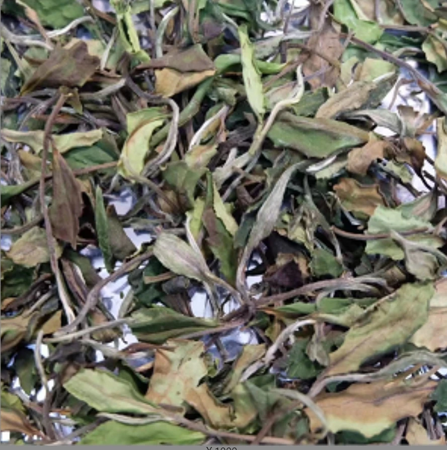 【7月15号】福鼎管阳-2017年秋白露