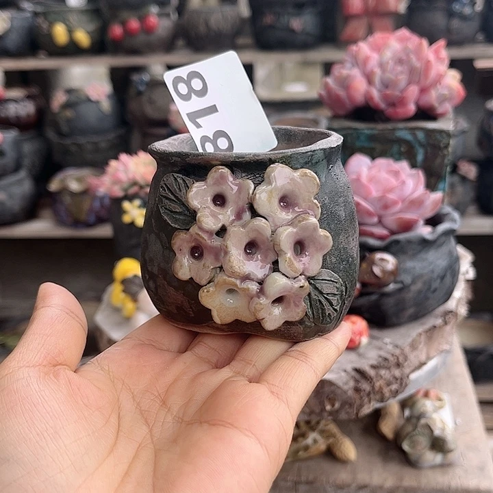 红陶哈哈真的好开心