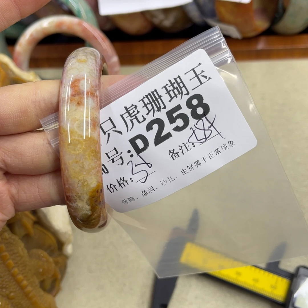 *****硅化珊瑚（珊瑚玉）未镶嵌h