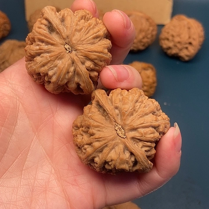 安***斯大大大大大大粗筋