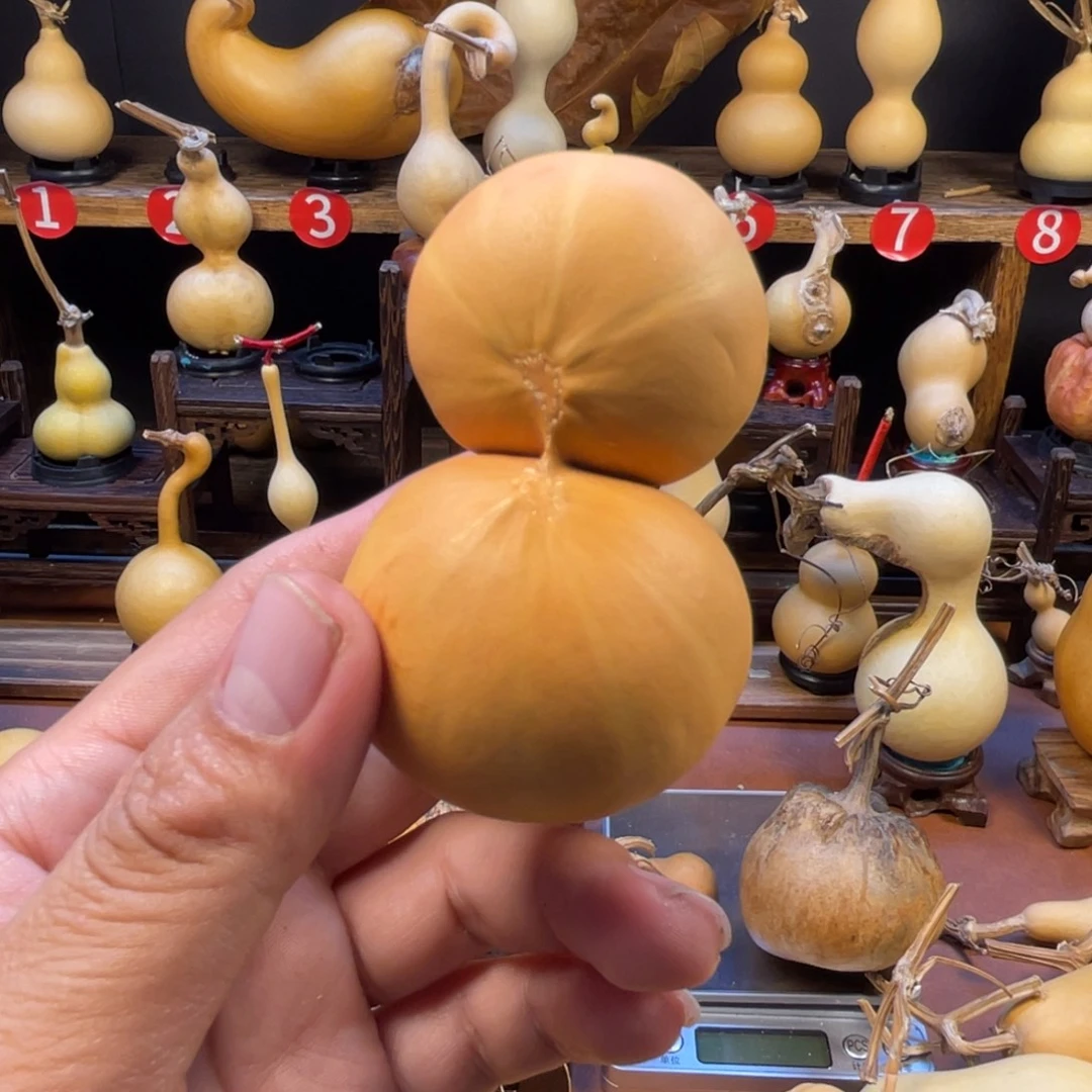 满***气葫芦葫芦和大枣等都