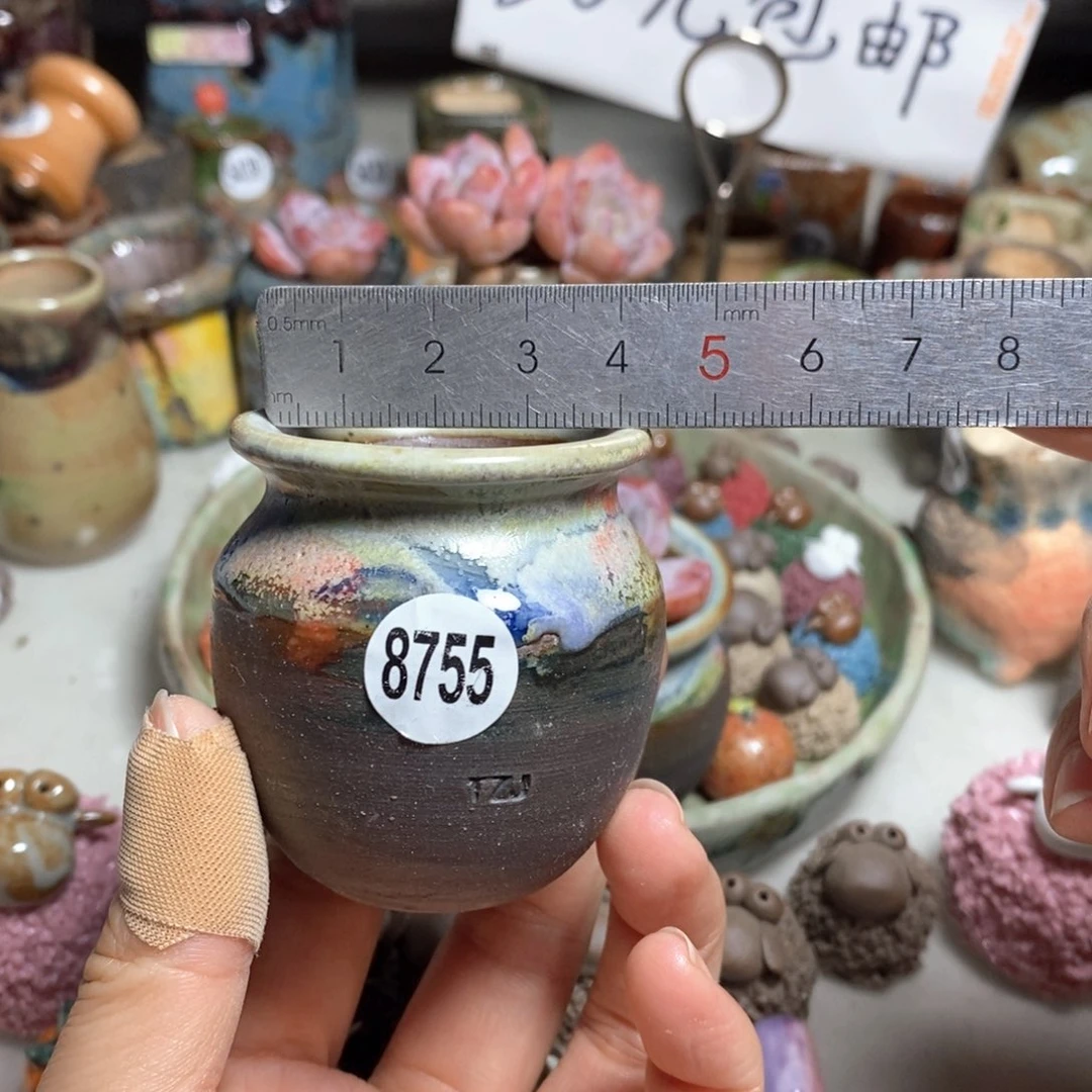 拍5送一个小礼物