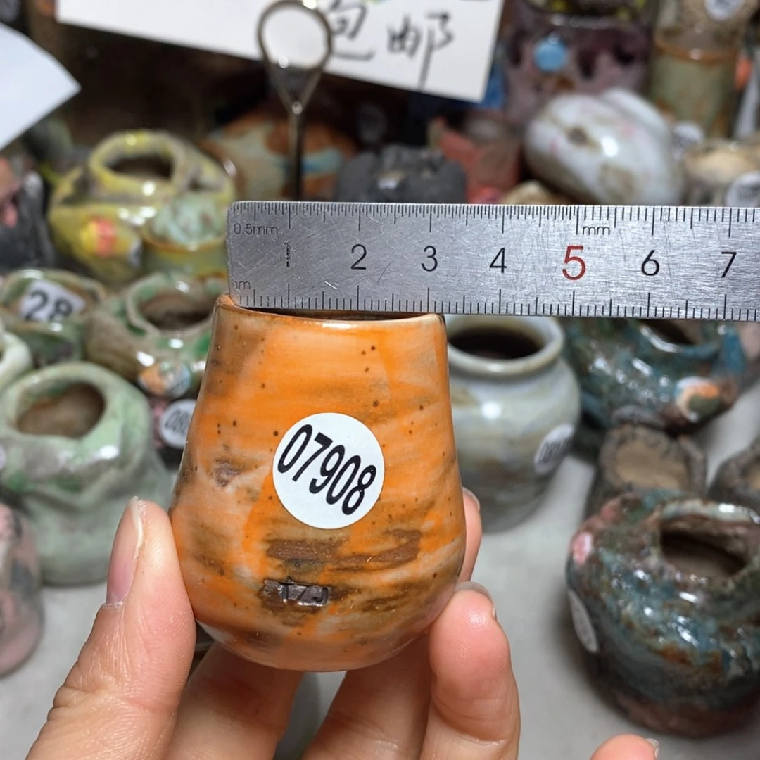 花盆拍5送一个小礼物