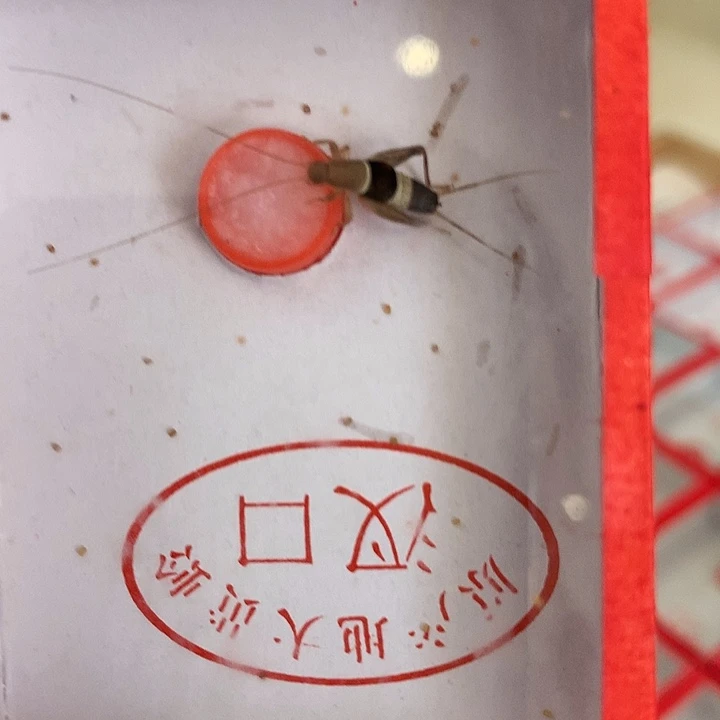 哈哈哈哈水墨一个