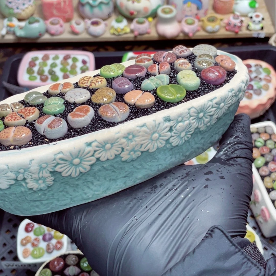 夜间零下地区拍保温箱w6042