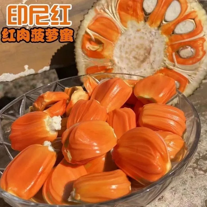 广东种植新品印尼红菠萝蜜干苞脆甜浓香热带水果