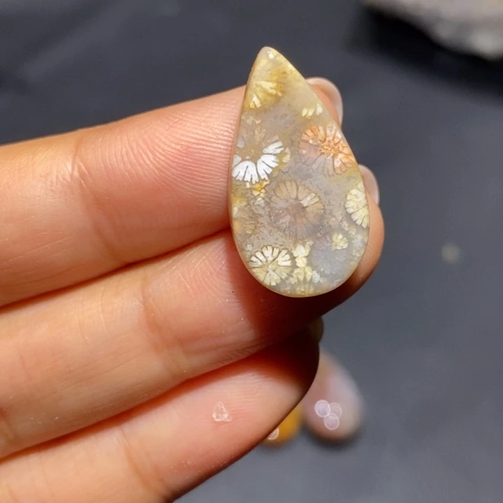 【闪购商品】未镶嵌珊瑚玉硅化玉